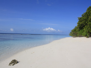 Отель Boutique Beach All Inclusive Diving