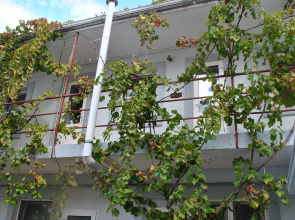 Na Kolkhoznoy Guest House