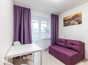 Апартаменты DreamHouse у аэропорта Кольцово