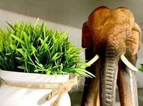 Квартира на Валериана Соколова 6к1