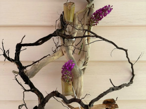 Гостевой дом Пальма Туапсе