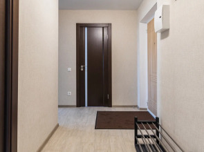 Апартаменты на Револиционной