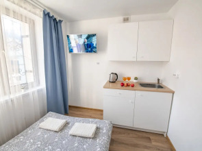 Квартира-студия 1 на Некрасовской