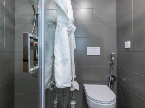 Апартаменты Geleon Apart