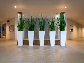 Отель Tropicana 