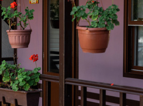 Кемпинг У Кремля