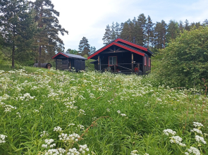 Kirlahti Bay Guest House