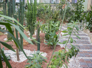 Отель Garden Plaza Bukhara