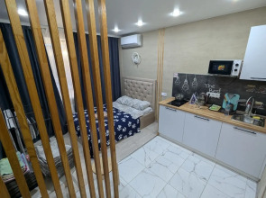 Uyunaya Studiya V OsinovoApartments