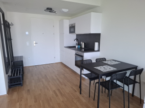Uyutnaya Studiya v Vene ryadom s Parkom Prater i Dunaem Flat