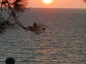 Отель Hotel Medusa