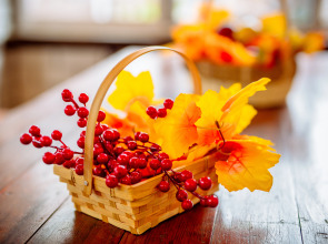 Гостевой дом Элион