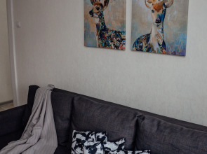 Апартаменты двухкомнатные в центре у озера