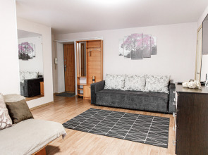 Апартаменты Двухкомнатные в центре города на Красноармейская 124