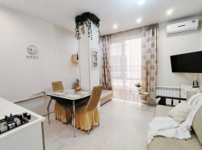 Квартира студия для 3х человек с кухонной зоной рядом с Олимпийским парком