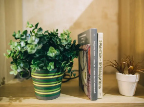 Меблированные комнаты Большая Морская 7