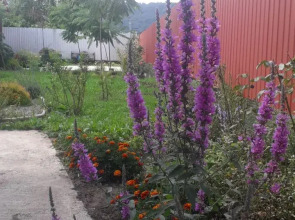 Частный дом Feel House