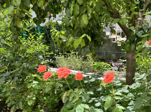 Гостевой Дом Отдых у Александра