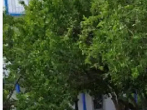 Гостевой дом Казантип-72 на Азовском море