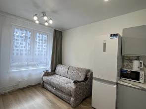 Квартира около леса в Мытищах