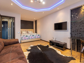 Тихие апартаменты  в центре города, ул.Горького 154. Сова-Дом