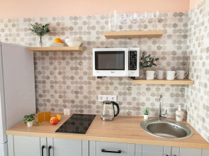 Апартаменты TopHouse на Фастовской 29 однокомнатные