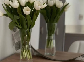 Апартаменты Современная Студия в Центре на Кутузовском