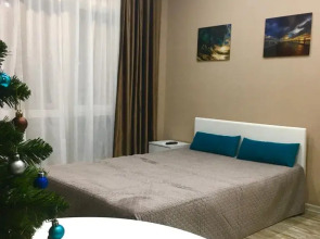 Апартаменты SimSim на Эстонской (62)