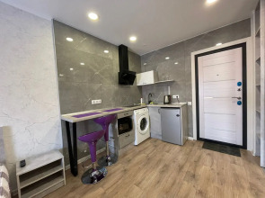 Апартаменты на Льва Толстого