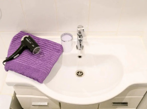 Апартаменты На Маяковской (907)