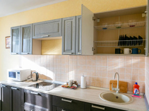 Апартаменты однокомнатные (97) Серебровская 91