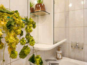 Апартаменты Малая Пироговская 27к1