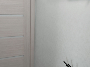 Квартира 1к Володарского 15 Центр