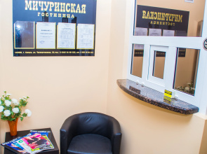 Inn Michurinskaya