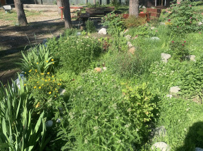 Мини-отель Подснежник