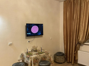 Апартаменты Студия на 3их человек у метро Девяткино