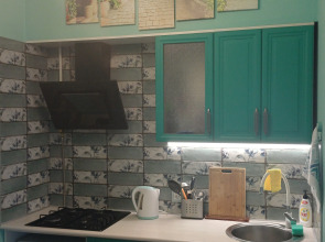 Апартаменты Лаванда на площади Ленина. Ленин в восторге!