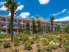 Санаторий Foros Wellness & Park