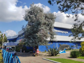 Апартаменты Семейные апартаменты Адлер