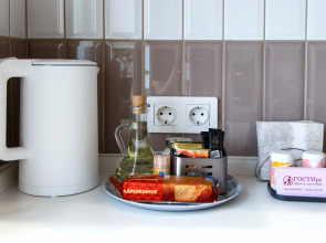 Апартаменты уютные семейные Лада в центре