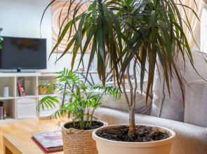 Апартаменты Мансарда Рядом с Красной Площадью