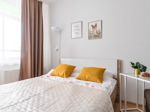 Студия недалеко от центра Санкт-Петербурга 5