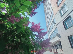 Квартира Гостевая Алеся на Малышева 4Б