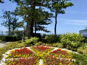 Квартира Уютная квартира в центре Светлогорска