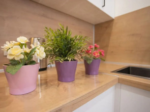 Квартира на Улице Революционная 39/3