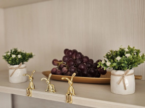 Апартаменты на Московском