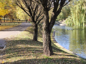 V Tikhom Tsentre Goroda Apartments
