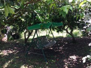 Отель Мандариновый берег