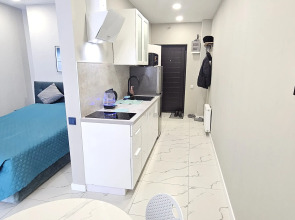 Квартира на Улице Полковника Фесюна 20