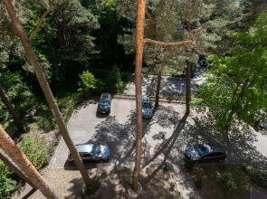 Апартаменты Вид на сосны